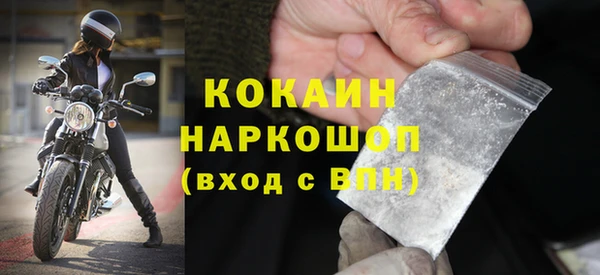 PSILOCYBIN Горняк
