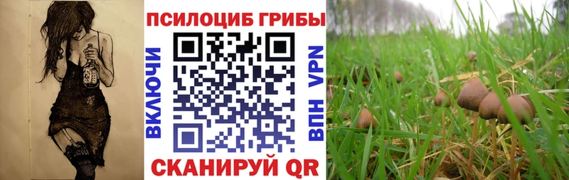 Галлюциногенные грибы MAGIC MUSHROOMS  Купить  Калтан 